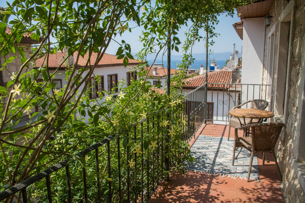 Sarı Yasemin - Balkon (Az Çiçekli)